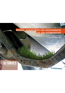 Wunder, Kuriositäten und Wissenswertes aus der Autowerkstatt
