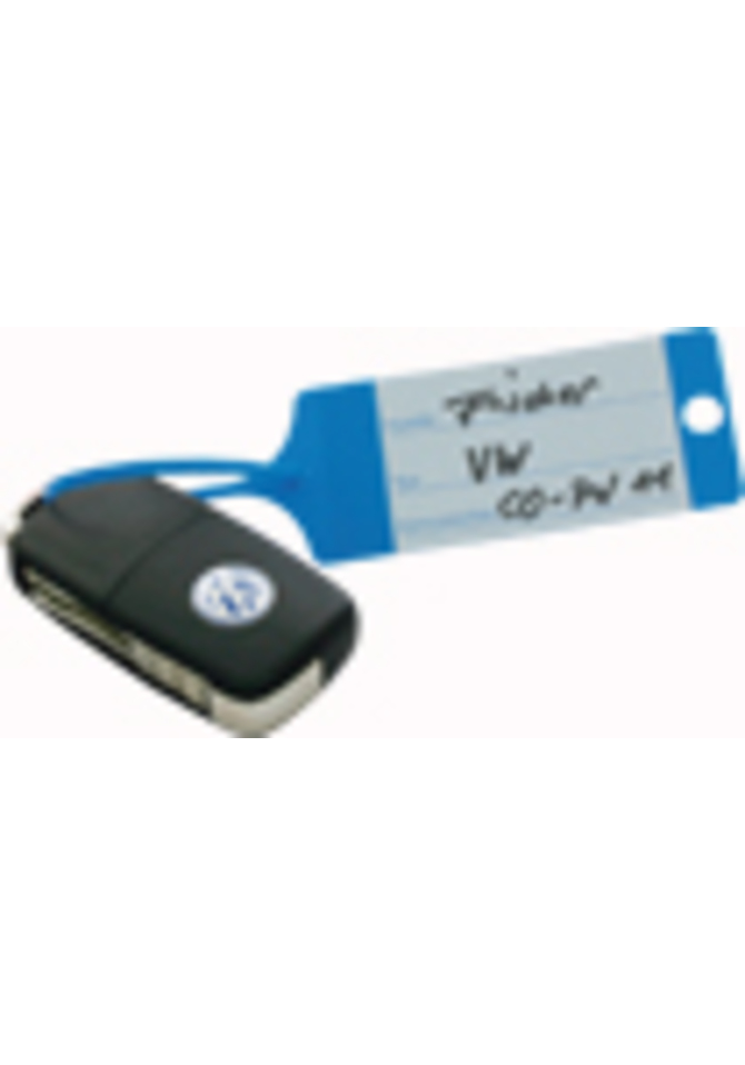 Plastik-Schlüsselanhänger Blau