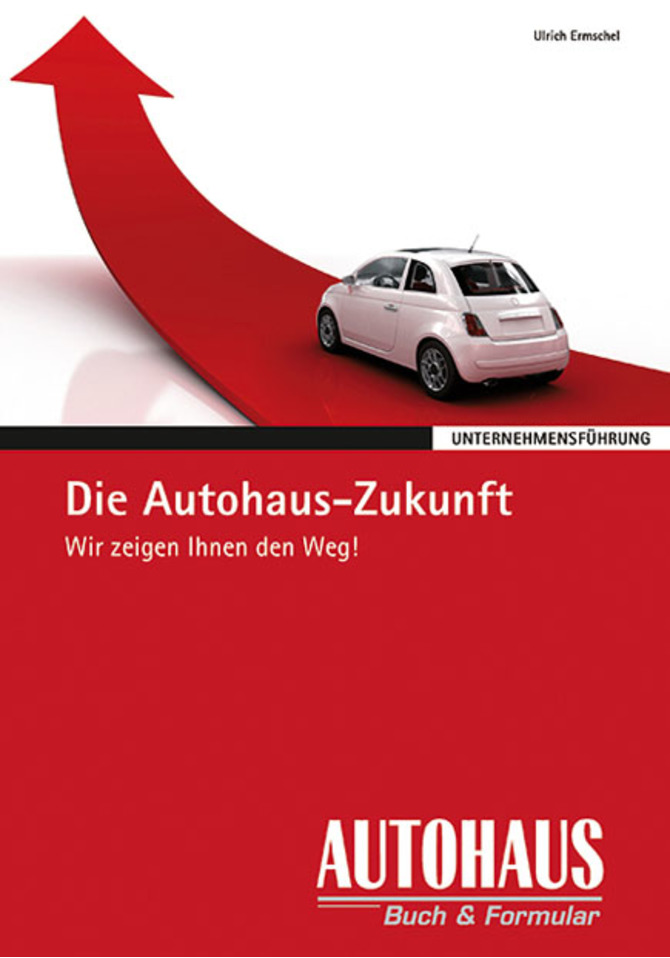 Die Autohaus-Zukunft (E-Book)
