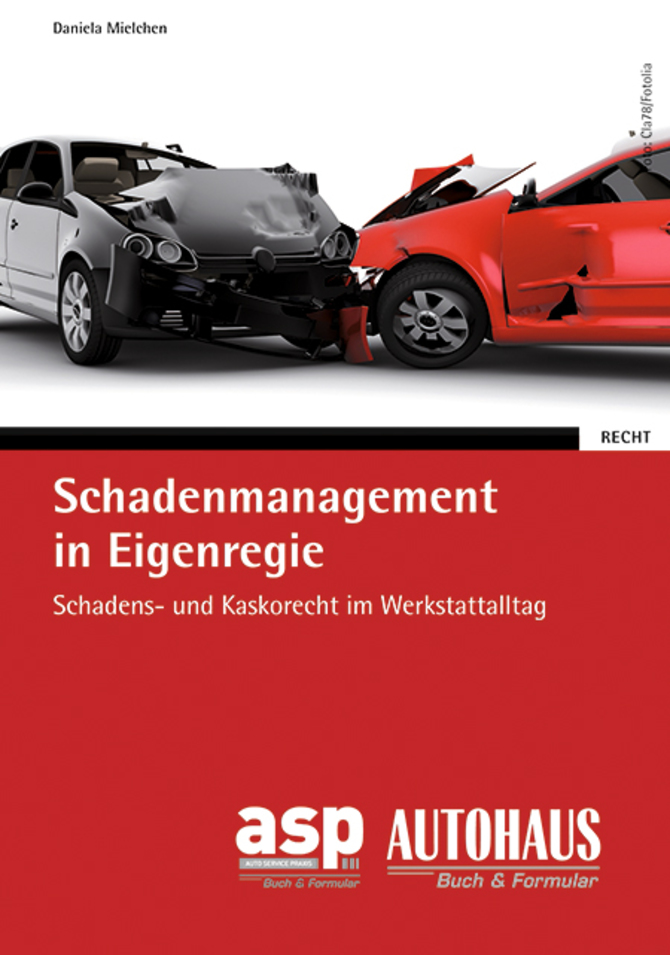 Schadenmanagement in Eigenregie (E-Book)