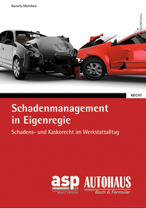 Schadenmanagement in Eigenregie (E-Book)