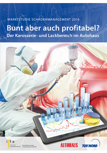 Bunt aber auch profitabel? Marktstudie Schadensmanagement